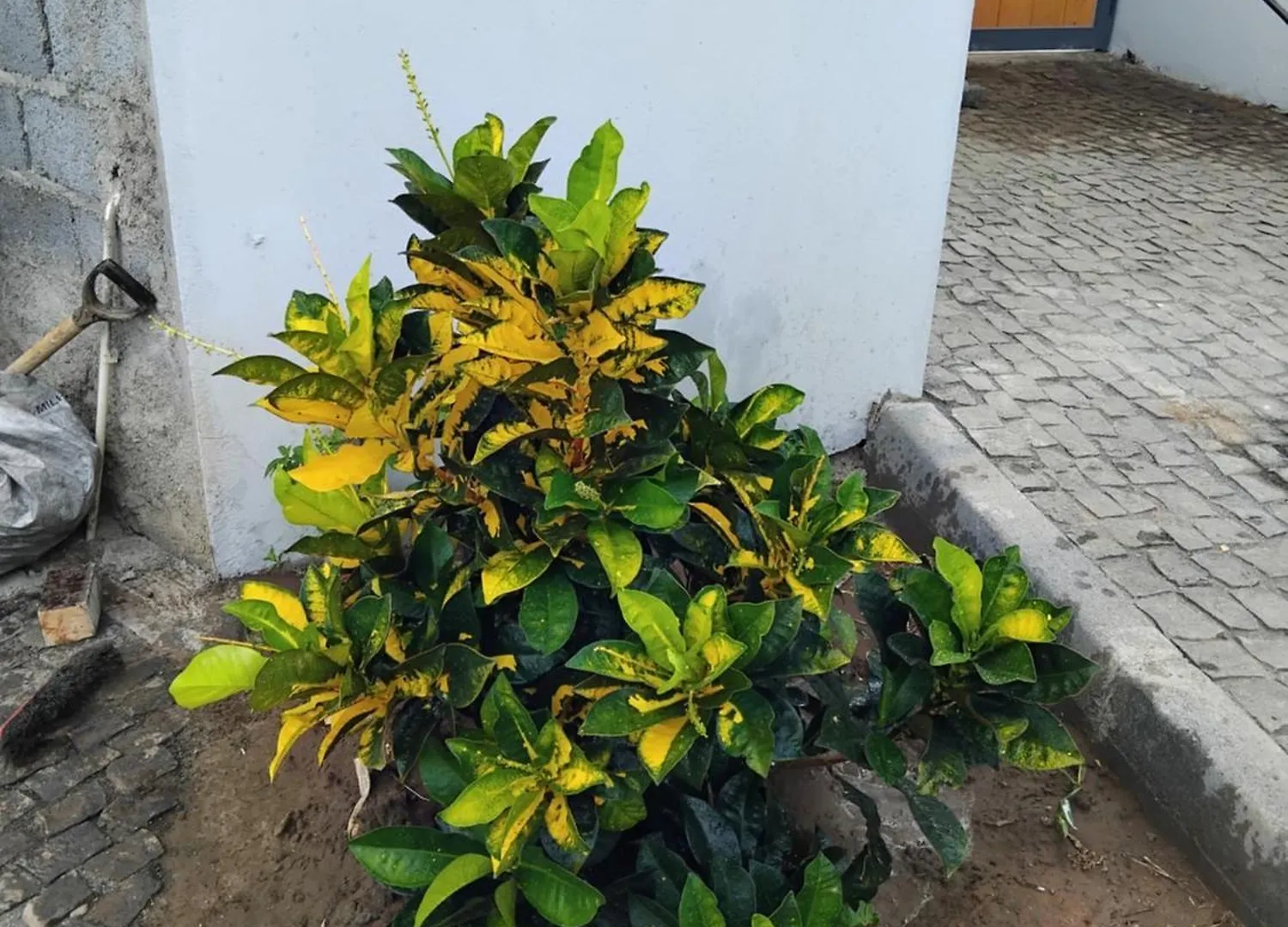 Quinta Achada Fazenda Villa Santiago Farm stay